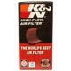 Purchase Top-Quality Filtre à air par K & N ENGINEERING - E2400 pa10