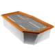 Purchase Top-Quality MAHLE ORIGINAL - LX2918 - Panel Primary Air Filter pa1