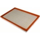 Purchase Top-Quality Air Filter by MAHLE ORIGINAL - LX2923 pa1