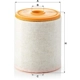 Purchase Top-Quality MANN-FILTER - C16-005 - Air Filter pa4