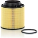 Purchase Top-Quality MANN-FILTER - C16-114/2X - Engine Air Filter pa1