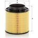 Purchase Top-Quality MANN-FILTER - C16-114/2X - Engine Air Filter pa2