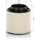 Purchase Top-Quality MANN-FILTER - C16-114/3X - Air Filter pa2