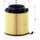 Purchase Top-Quality MANN-FILTER - C16-114X - Air Filter pa7