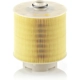 Purchase Top-Quality MANN-FILTER - C17-137/1X - Air Filter pa4