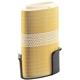 Purchase Top-Quality MANN-FILTER - C31-002 - Air Filter pa2