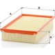 Purchase Top-Quality MANN-FILTER - C31-152/1 - Air Filter pa3