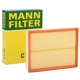 Purchase Top-Quality MANN-FILTER - C31-196 - Air Filter pa12