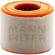 Purchase Top-Quality MANN-FILTER - C15-010 - Air Filter pa1