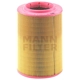 Purchase Top-Quality Filtre à air by MANN-FILTER - C17-201/3 pa1