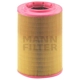 Purchase Top-Quality Filtre à air by MANN-FILTER - C17-201/3 pa2