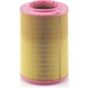 Purchase Top-Quality Air Filter by MANN-FILTER - C17-201/3 pa4