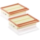 Purchase Top-Quality Air Filter by MANN-FILTER - C25-110-2 pa5