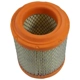 Purchase Top-Quality Air Filter by MOPAR - 4593914AB pa2