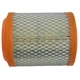 Purchase Top-Quality Air Filter by MOPAR - 4593914AB pa3