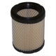 Purchase Top-Quality MOPAR - 52022424AA - Air Filter pa10