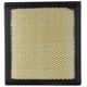 Purchase Top-Quality MOTORCRAFT - FA1773A -  Air Filter pa1