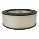 Purchase Top-Quality Air Filter by MOTORCRAFT - FA1079 pa4