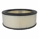 Purchase Top-Quality Air Filter by MOTORCRAFT - FA1079 pa7