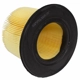 Purchase Top-Quality MOTORCRAFT - FA1632 - Air Filter pa1