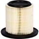 Purchase Top-Quality Air Filter by MOTORCRAFT - FA1641 pa1