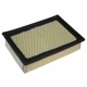 Purchase Top-Quality Air Filter by MOTORCRAFT - FA1683 pa5