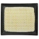 Purchase Top-Quality Air Filter by MOTORCRAFT - FA1744 pa12