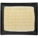 Purchase Top-Quality Air Filter by MOTORCRAFT - FA1744 pa4