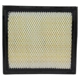 Purchase Top-Quality Air Filter by MOTORCRAFT - FA1773 pa2