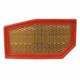 Purchase Top-Quality Air Filter by MOTORCRAFT - FA1804 pa2