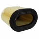 Purchase Top-Quality Air Filter by MOTORCRAFT - FA1928 pa2