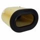 Purchase Top-Quality Air Filter by MOTORCRAFT - FA1928 pa5