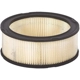 Purchase Top-Quality Air Filter by MOTORCRAFT - FA3R pa1