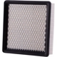 Purchase Top-Quality PREMIUM GUARD - PA5150 - Air Filter pa4