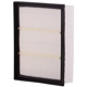 Purchase Top-Quality PREMIUM GUARD - PA6317 - Air Filter pa3