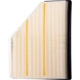 Purchase Top-Quality PREMIUM GUARD - PA99819 -  Air Filter pa1