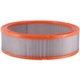 Purchase Top-Quality Air Filter by PREMIUM GUARD - PA3195 pa10