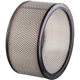 Purchase Top-Quality Air Filter by PREMIUM GUARD - PA3384 pa4