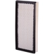 Purchase Top-Quality PREMIUM GUARD - PA3465 - Air Filter pa5