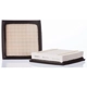 Purchase Top-Quality Air Filter by PREMIUM GUARD - PA4339 pa2