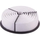 Purchase Top-Quality PREMIUM GUARD - PA4361 - Air Filter pa12