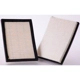 Purchase Top-Quality Air Filter by PREMIUM GUARD - PA4490 pa1