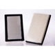 Purchase Top-Quality Air Filter by PREMIUM GUARD - PA5043 pa1