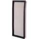 Purchase Top-Quality PREMIUM GUARD - PA5089 - Air Filter pa6