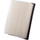 Purchase Top-Quality PREMIUM GUARD - PA5105 - Air Filter pa4