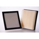 Purchase Top-Quality PREMIUM GUARD - PA5192 - Air Filter pa4