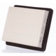 Purchase Top-Quality Air Filter by PREMIUM GUARD - PA5207 pa2