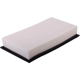 Purchase Top-Quality Air Filter by PREMIUM GUARD - PA5291 pa4