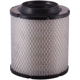 Purchase Top-Quality Air Filter by PREMIUM GUARD - PA5306 pa2