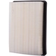 Purchase Top-Quality Air Filter by PREMIUM GUARD - PA5373 pa8